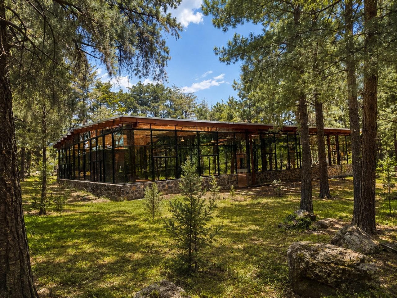 La Reserva - forest & events