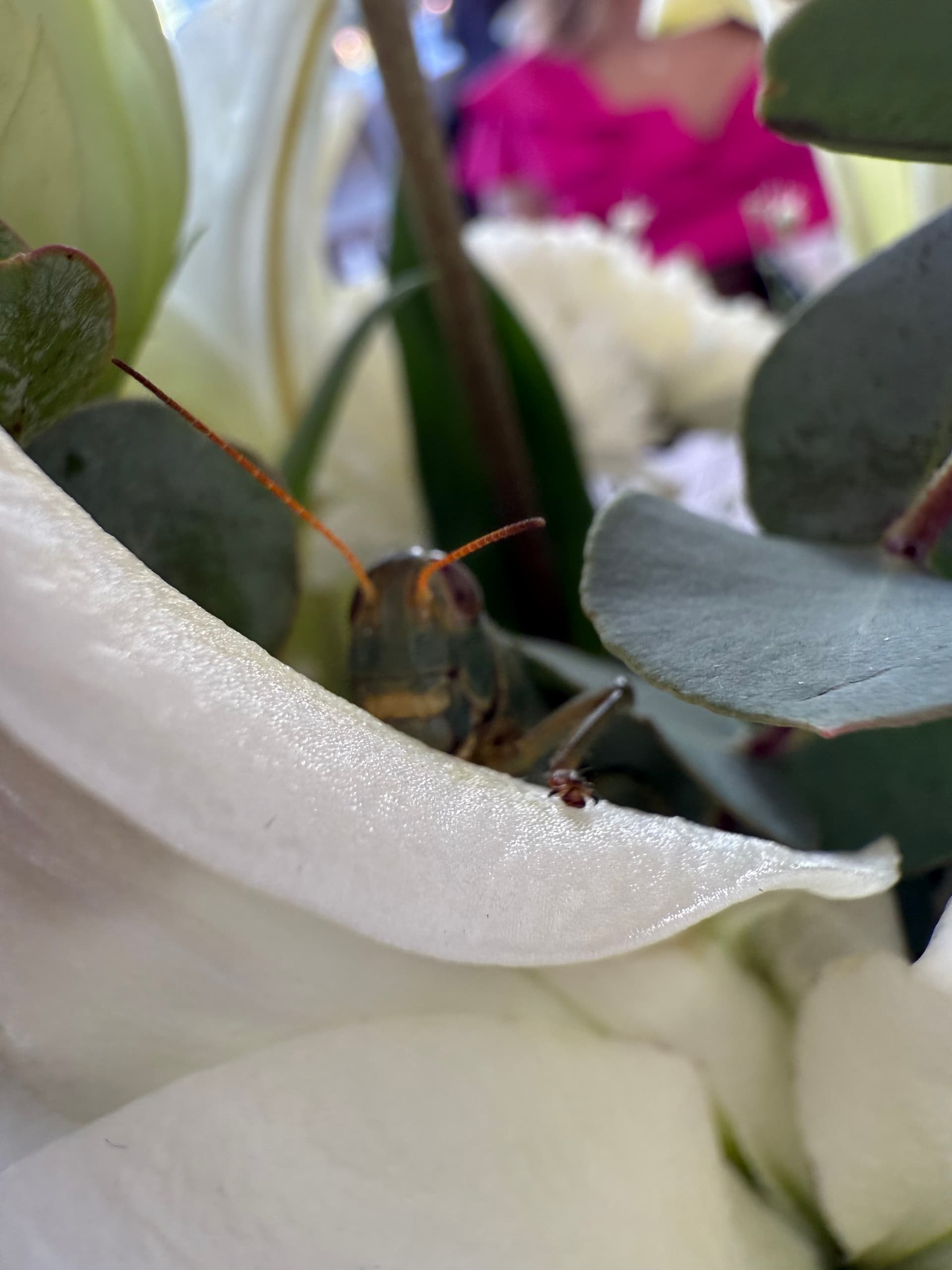 Foto de boda