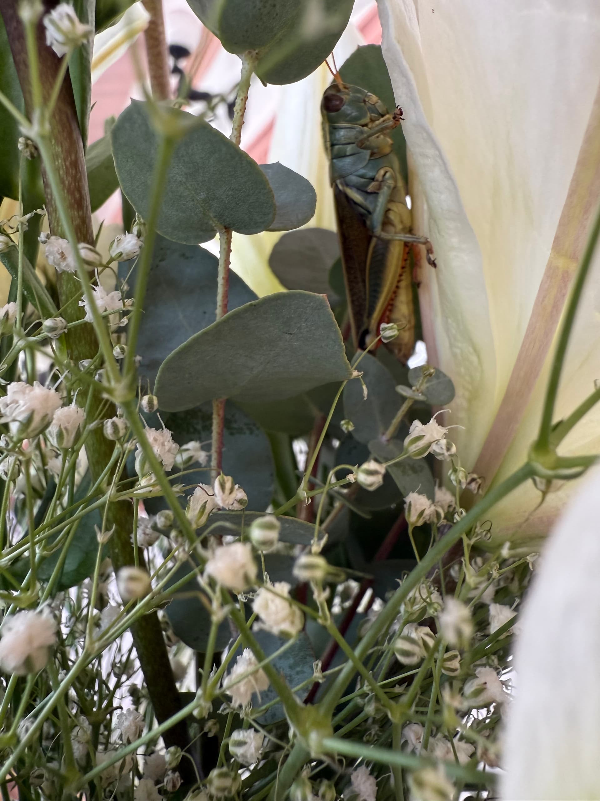 Foto de boda